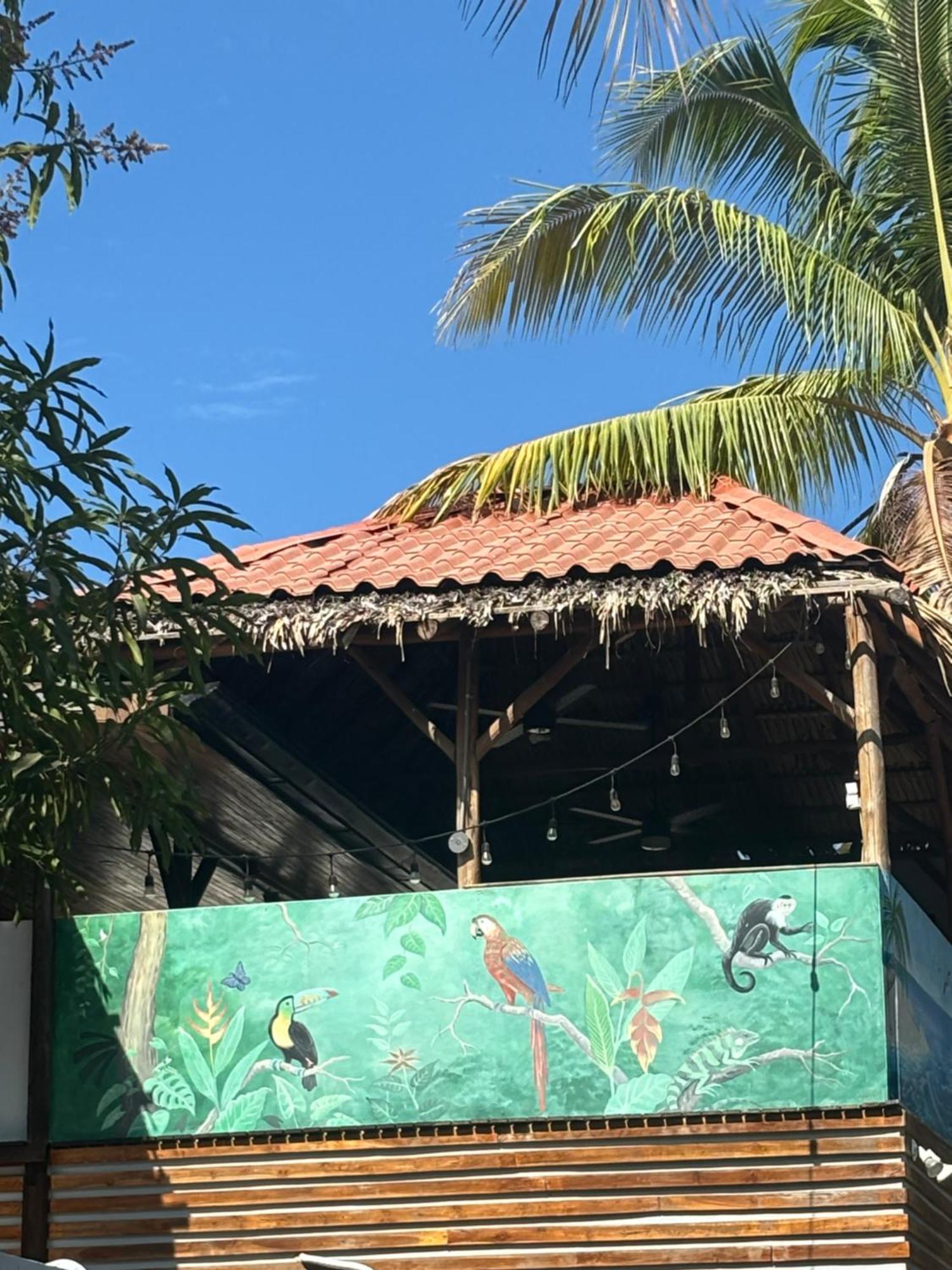 Quinta Esencia Bed & Breakfast Брасилито Екстериор снимка